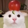 bunnytheFUCKIFORGOTGOD profil fotoğrafı