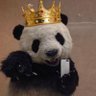 Pandita_Bolillo๐ profil fotoฤrafฤฑ
