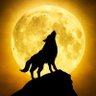 i wolf's profile picture