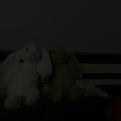 แมวชมพู's profile picture