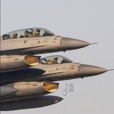 Faris 🇺🇦🇵🇰🇵🇸's profile picture