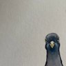 CHECK MY PROFILE's profile picture