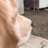 Фото профиля 楽南