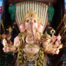 Dilip Singh Rajpuroh's profile picture