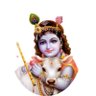 Profilbild von Narayan Rajbhar
