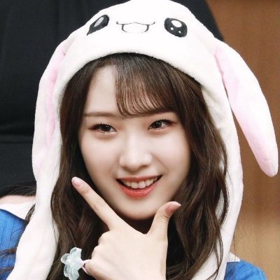 choekawa's profile picture