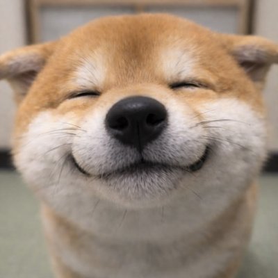 〇's profile picture