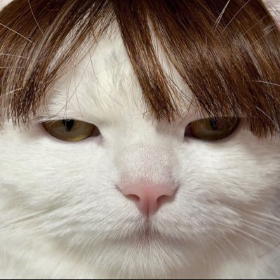 MangkhudMeow's profile picture