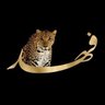 Фото профиля فهد البريهي