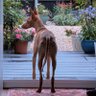 Claire Dunkley©️ profil fotoğrafı
