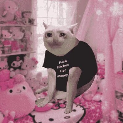 Celesweb3's profile picture