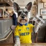 Profilbild von @BuzzTheSchnauzer