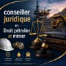Conseiller juridique en droit pétrolier et minier 的头像