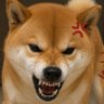 시바스라 的头像