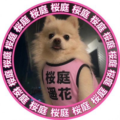 haruka_y_oshiki's profile picture