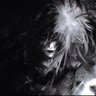 Profilbild von 𝔙𝔢𝔯𝔰𝔩𝔢𝔰𝔬𝔩𝔢𝔦𝔩