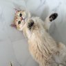 래므 profil fotoğrafı