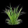 Profilbild von 植物人
