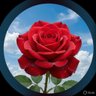 iGuru's profile picture
