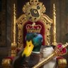Supreme Duck 的头像