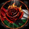 Profilbild von Alejandro🌹🇵🇸