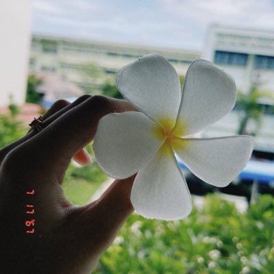 มอลอ ໒ ͚.ིྀ ݂ . ͚১֯݀'s profile picture