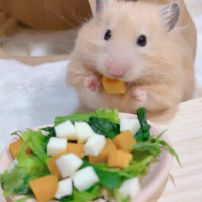 حصريات متعب's profile picture