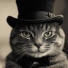 TopHat | 🟢 profil fotoğrafı