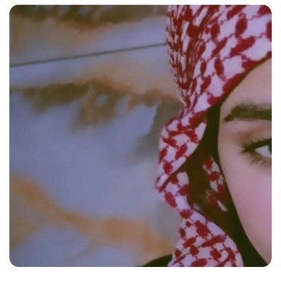 🕊الجنوب الـعظيـم🕊's profile picture
