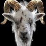 КΛMΞЛ TϾ🇨🇲's profile picture