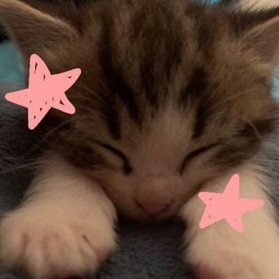 ชาส้ม💗🫧's profile picture