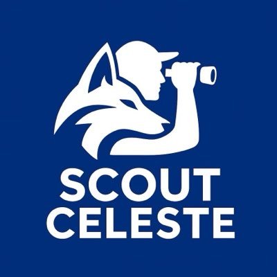 scout_celeste's profile picture