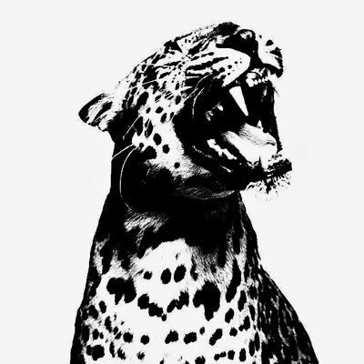 ln4wdcs's profile picture