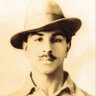 Ashmit chauhan🇮🇳's profile picture