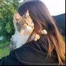 Meval's profile picture