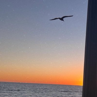 universegmnf's profile picture