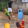 Harmonie profil fotoğrafı