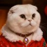 Magiru's profile picture