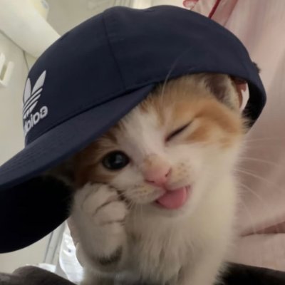와이's profile picture