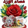 Profilbild von يوسف المروعي