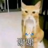 Silly Kumari Bashyal profil fotoğrafı