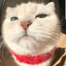 Ra Mi's profile picture