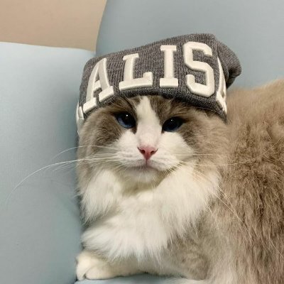 KEV's profile picture