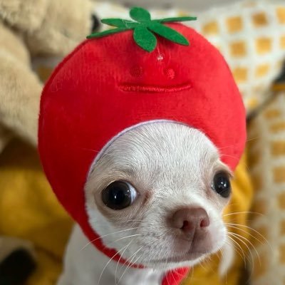 232%'s profile picture