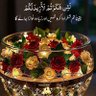 💐SANA SALTANAT 💐 profil fotoğrafı