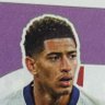 Diego Francisco's profile picture