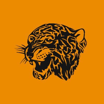HullCity's profile picture