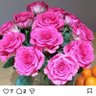 julie 🍓🌸💮🌻🌹🌺🌼 profil fotoğrafı