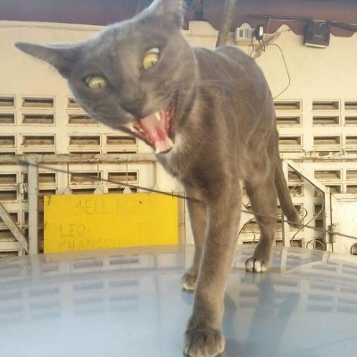 Hideki Takasaki's profile picture