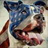 Profilbild von CONSTITUTIONAL REPUBLIC